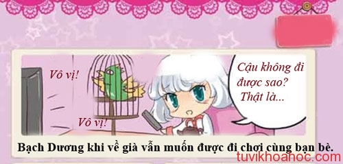 bachduong-7836-1393814499