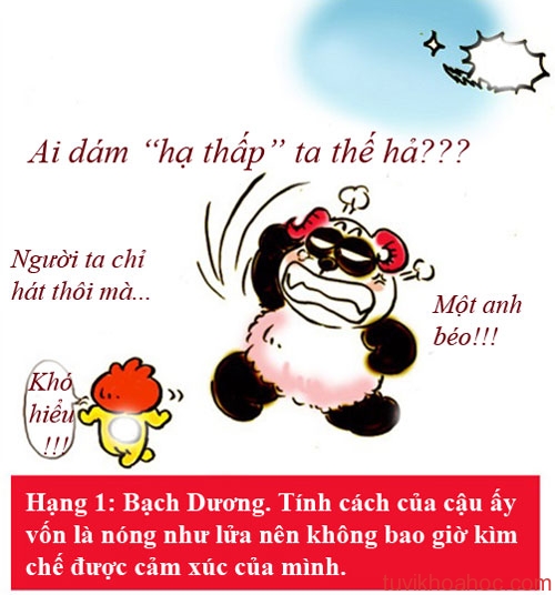 bachduong1-5764-1394098304