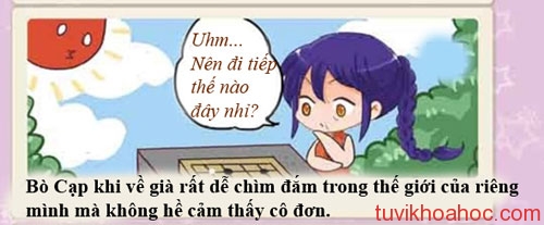 bocap-5513-1393814500