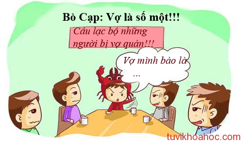 bocap-5752-1397814849