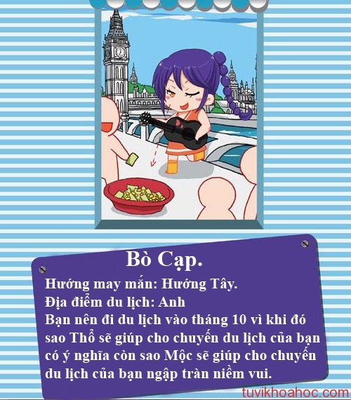 bocap-8380-1396342130