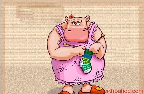 du-doan-tinh-duyen-trong-nam-2-5544-3023-1403225460