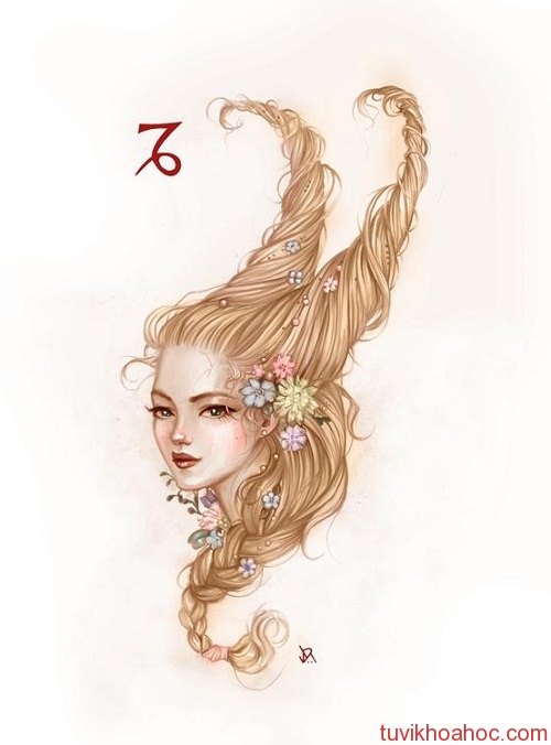 ma-ket-4088-1396196398