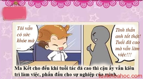 maket-8079-1393814500