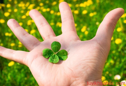 may-man-9916-1409881915