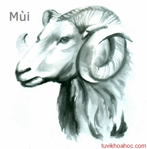 mui-1696-1402357273