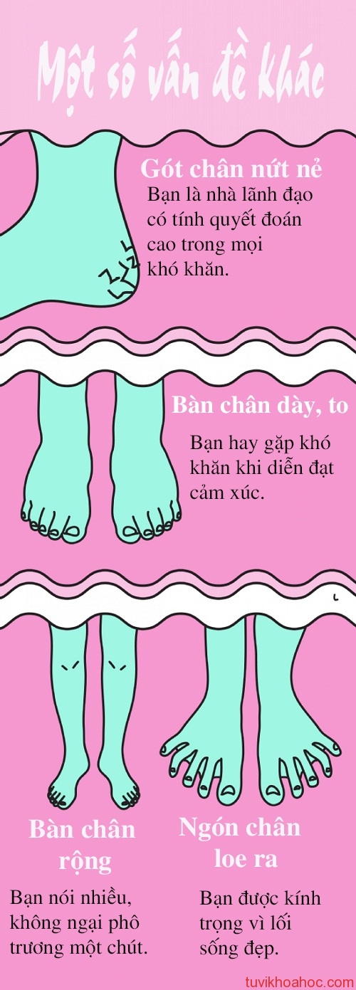 ngon1-6077-1397468326