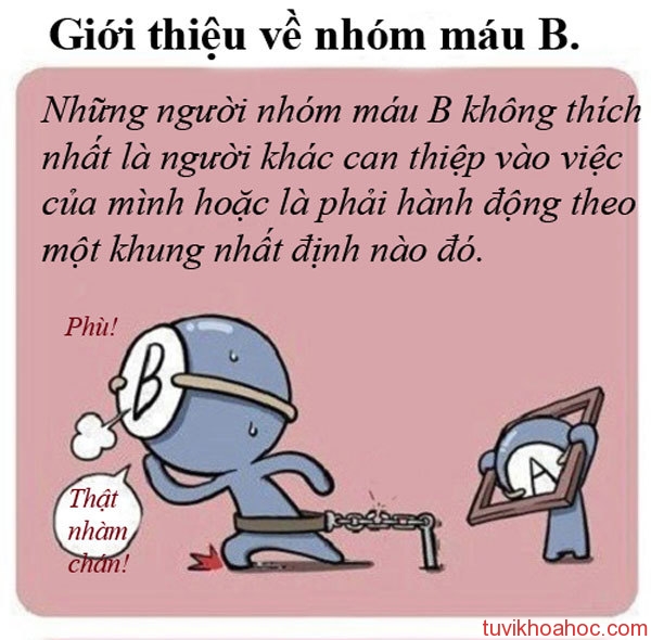 nh-1-1398333830_660x0