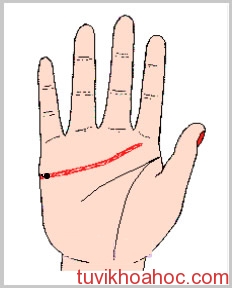 Nốt ruồi trên đường tình duyên qua chỉ tay