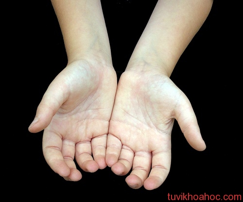 open-hands-1-8962-1396450593