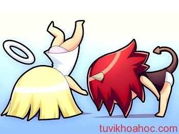 song-tu-6061-1402446134