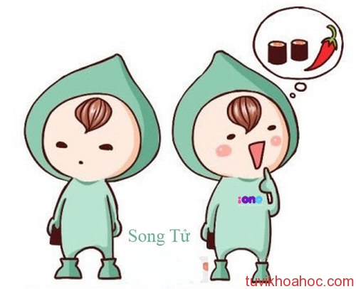 songtu-7198-1401440703