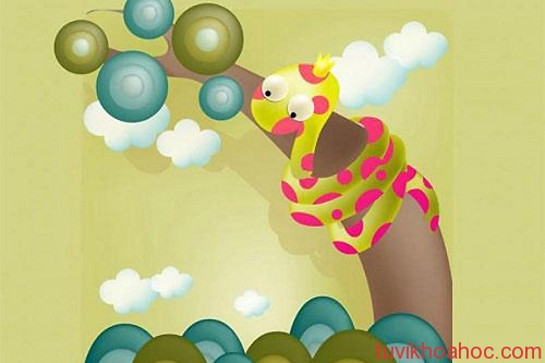 tuoi-Ty-2-2929-1402007207