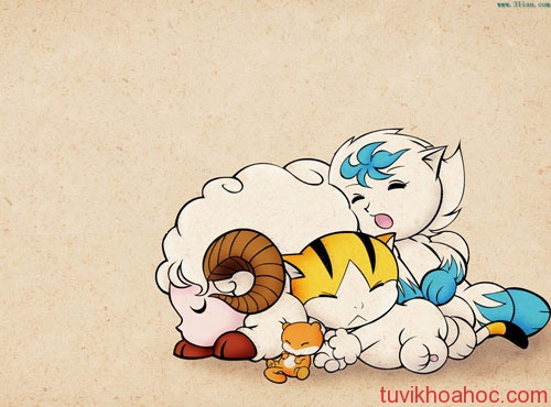 van-han-nguoi-tuoi-mui-nam-201-2022-5651-1402007207