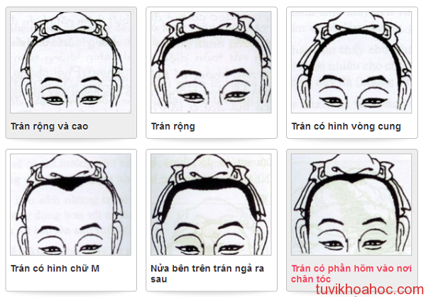 Xem tướng trán đoán vận mệnh trong tương lai