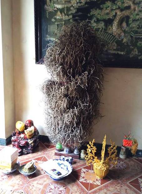 1560429_277565929098405_4198080524771351607_n