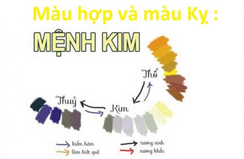 Người mạng Kim hợp với hợp với màu sắc gì?
