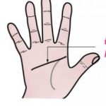 Xem bói đường chỉ tay học vấn