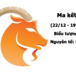 Cung Ma Kết Tính cách, Tình yêu, Sự nghiệp