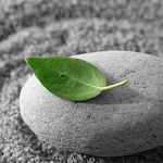 Bớt hơn thua để hạnh phúc đến gần ta hơn