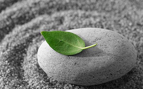 Con người với nhau hãy học cách bớt hơn thua để được hạnh phúc hơn trong cuộc sống