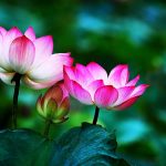 Tu là chuyển nghiệp (Phần 3)