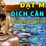 Khỏi bệnh và khỏe mạnh với 10 phút tập Đạt Ma dịch cân kinh