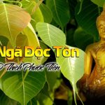 Hiểu đúng về duy ngã độc tôn