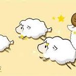 Những lời chúc Tết Sếp hay và ý nghĩa nhất 2026