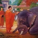 Đạo đức Phật giáo từ điểm nhìn giới không sát sanh