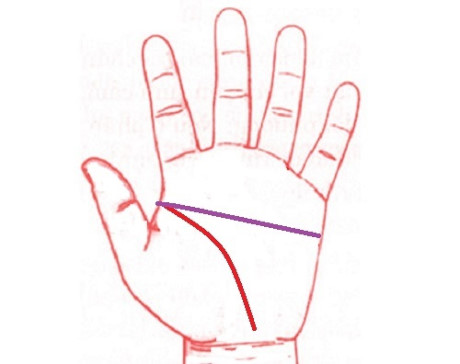 Bàn tay chữ nhất nói lên điều gì?