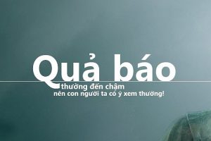 Luật nhân quả luôn luôn tồn tại