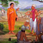 Hãy từ bỏ nghề sát sinh