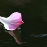 Hãy học cách cư xử nhẹ nhàng