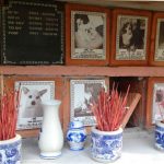 Có nên chôn chó khi chết