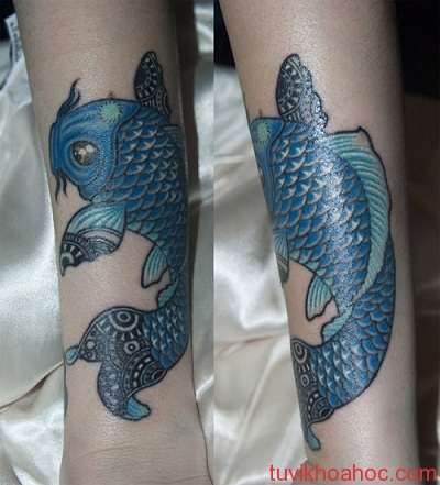 Hình xăm hợp với người mạng Thủy