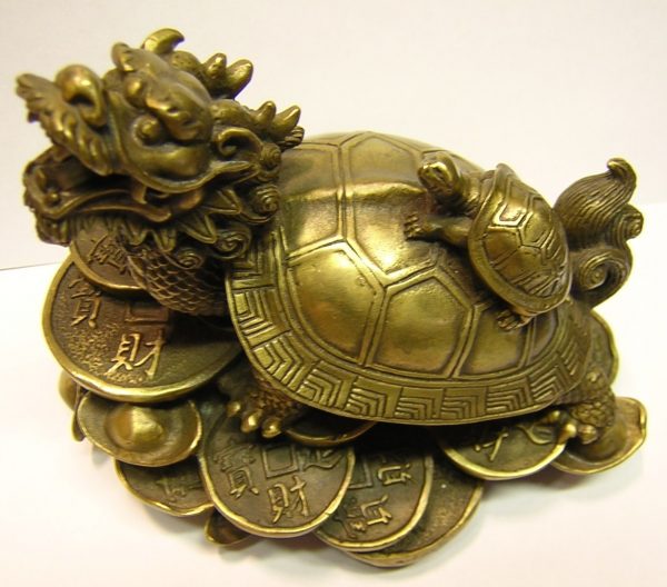 Rùa cải thiện sức khỏe