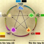 Đầu năm 2026 nên bỏ gì vào ví để được may mắn?