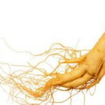 Những gợi ý hay cho món quà Tết 2026 Bính Ngọ