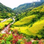 Tết âm lịch 2026 đi chơi ở đâu và làm gì?