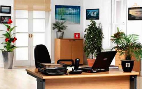 Điều quan trọng đầu tiên thì gia chủ tuổi Bính Ngọ nên để văn phòng luôn gọn gàng và sạch sẽ, thoáng mát. Đem lại động lực để làm việc (ảnh minh họa).