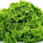 Mơ thấy vườn trồng rau có ý nghĩa gì?