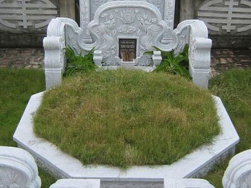 Cách nhận biết mộ kết (ảnh minh họa).