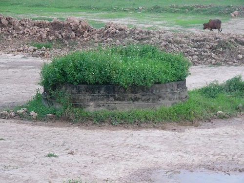 Mộ kết được hiểu là ngôi mộ khi được đặt vào nơi có trường khí tốt, đã thu nhận được năng lượng của Địa Huyệt (ảnh minh họa).