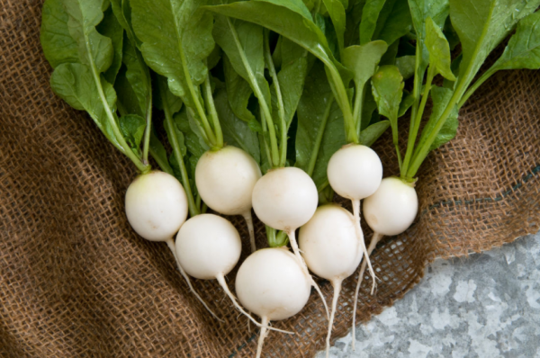 Mơ thấy củ cải trắng