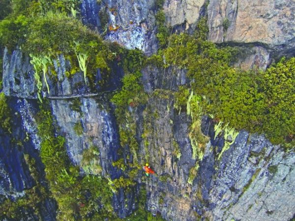 Mơ thấy mình rơi xuống vực sâu