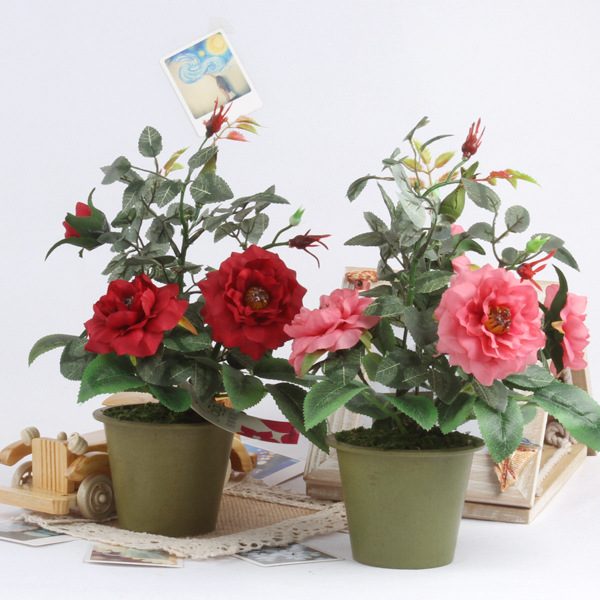 Trồng cây ở phía Đông Nam