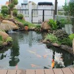 9 cách cải thiện vận số may mắn