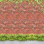 Nằm ngủ mơ thấy bức tường nhà bị đổ báo điềm gì?