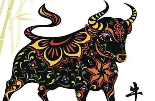 Xem tử vi vận hạn tuổi Đinh Sửu 1997 nữ mạng năm 2026